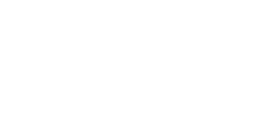 Professional Builder